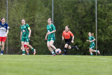Bild 375 - wBJ Hamburger SV - SV Werder Bremen : Ergebnis: 2:2